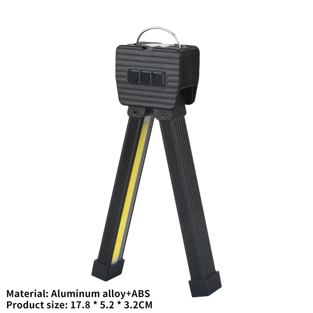 Gym Lamp for Posing